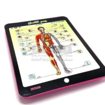 tablette-éducative-pour-apprendre-les-parties-du-corps-humain-aux-enfants-2