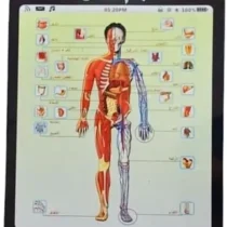 tablette-éducative-pour-apprendre-les-parties-du-corps-humain-aux-enfants-3